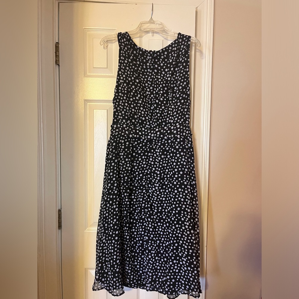 NWT. Plus Size 3X.       B&W polka dot Fit&Flare